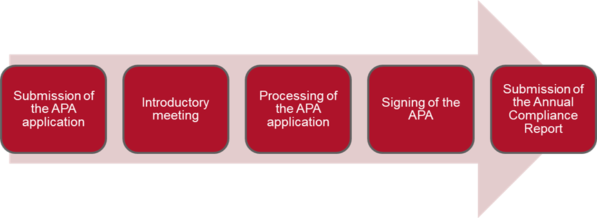 APA process